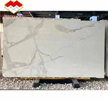 ديكور المنزل الحالي بطن السمك الحجرية الرخامية البيضاء ألواح الحجارة لغرفة المعيشة وأبلاط الأرض