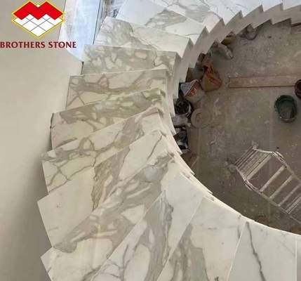 ديكور المنزل الحالي بطن السمك الحجرية الرخامية البيضاء ألواح الحجارة لغرفة المعيشة وأبلاط الأرض