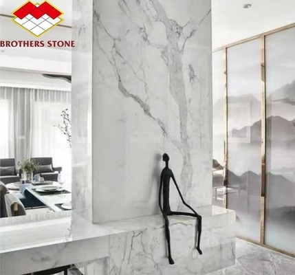 ديكور المنزل الحالي بطن السمك الحجرية الرخامية البيضاء ألواح الحجارة لغرفة المعيشة وأبلاط الأرض