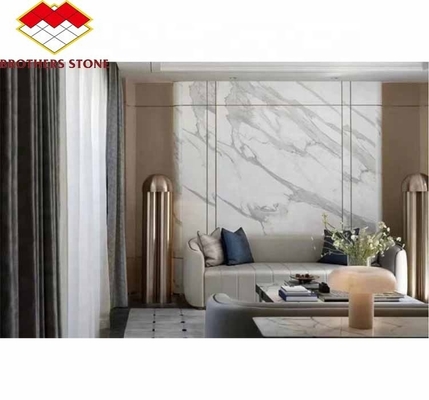 ديكور المنزل الحالي بطن السمك الحجرية الرخامية البيضاء ألواح الحجارة لغرفة المعيشة وأبلاط الأرض