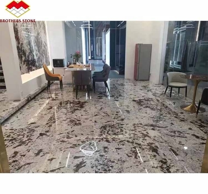 الحائط الداخلي المقطوع إلى الحجم المزخرف جبل الثلج الفضة الثعلب الحجر الرخام في الانتهاء الملمع