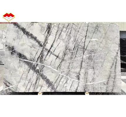 التصميم الجرافيكي الحجر الطبيعي الايطالي الفضة الشعير الرخامية الأرضية البلاط لغرفة المعيشة
