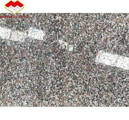 G664 المعاصرة الموردين ألواح الجرانيت 60x60 Porrno بلاطات الجرانيت لمشاريع الحديقة الرسومية