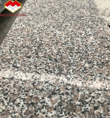 G664 المعاصرة الموردين ألواح الجرانيت 60x60 Porrno بلاطات الجرانيت لمشاريع الحديقة الرسومية