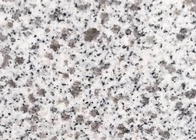 الطبيعية شعبية كاميليا الأبيض G603 الجرانيت لبلاط الأرضيات والسلالم